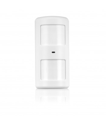 Dual Wireless Motion Detector